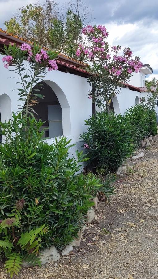Camping Village Torrenova Cirò Marina Eksteriør billede
