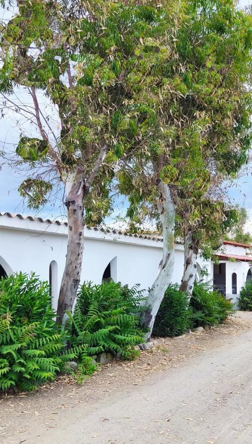 Camping Village Torrenova Cirò Marina Eksteriør billede